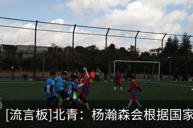 [流言板]北青：杨瀚森会根据国家队需要归队，参加世预赛后边比赛
